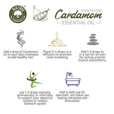 Old Tree Cardamom (Elaichi) Essential Oil (15ml) - For Skin, Hair Care, Fragrance, Soap Making, and Aromatherapy - Pure, Natural and Undiluted Perfume Oil with Glass Dropper